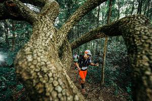 BIB: 
                            <button type="button" onclick="openModal(25393157)" class="btn btn-primary btn-sm float-right btn-popup" data-toggle="modal" data-target=".modal-high-quality">
                        <i class="fas fa-shopping-cart"></i> Add to Cart
                    </button>
                                            <button type="button" onclick="isThisMe(25393157, true)" class="btn btn-success btn-sm float-right btn-popup btn-isme hidden" data-toggle="tooltip" data-placement="bottom" title="นี่คือรูปของคุณใช่ไหม คลิกที่นี่เพื่อเอาเข้าอัลบั้ม">
                        <i class="fas fa-plus"></i> Add to album
                    </button>
                    <button type="button" onclick="isThisMe(25393157, false)" class="btn btn-warning btn-sm float-right btn-popup btn-isnotme hidden">
                        <i class="fas fa-ban"></i> Remove from album
                    </button>